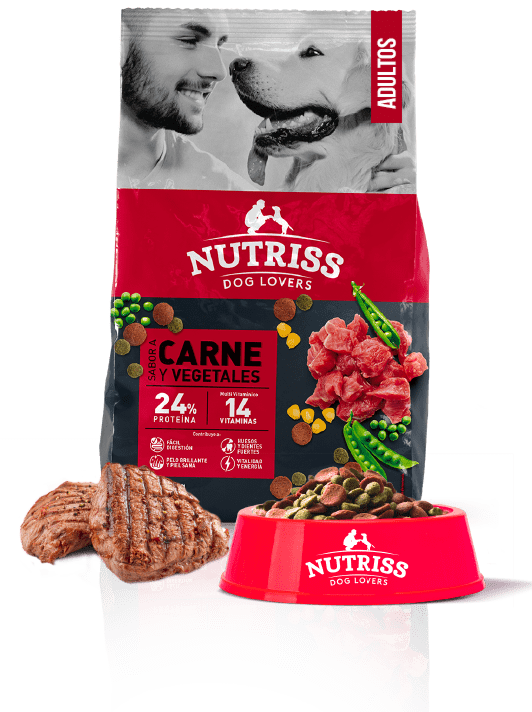 Nutriss Sabores